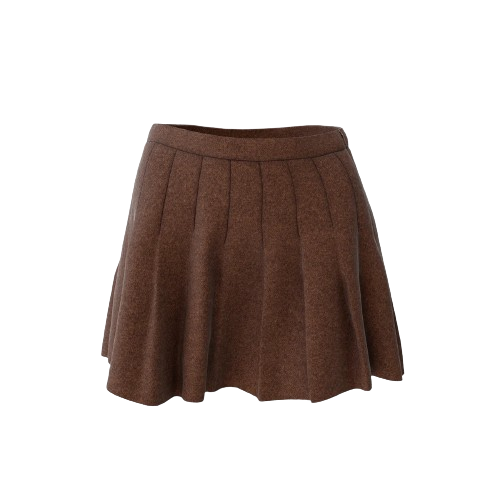 Women Brown Skirt